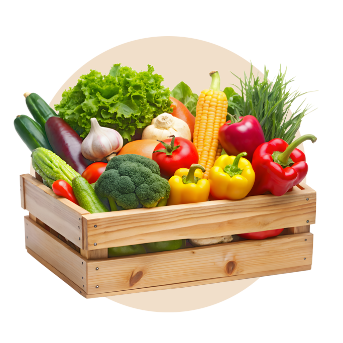Top vegetable Exporters in kerala India
